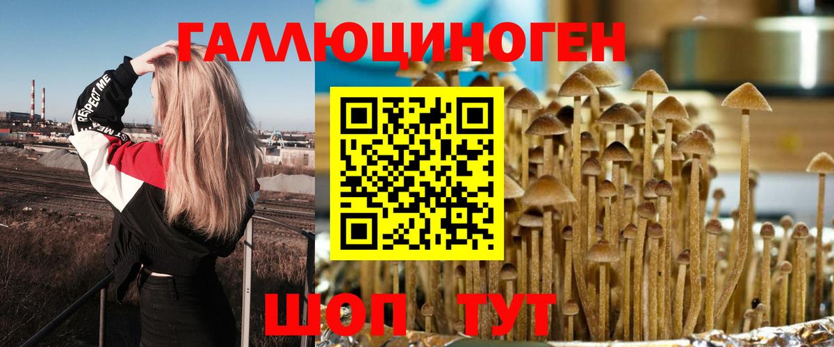 Псилоцибиновые грибы GOLDEN TEACHER Асбест